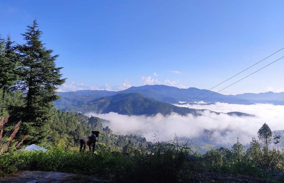 Вилла Little Himalayan Abode Алмора Экстерьер фото