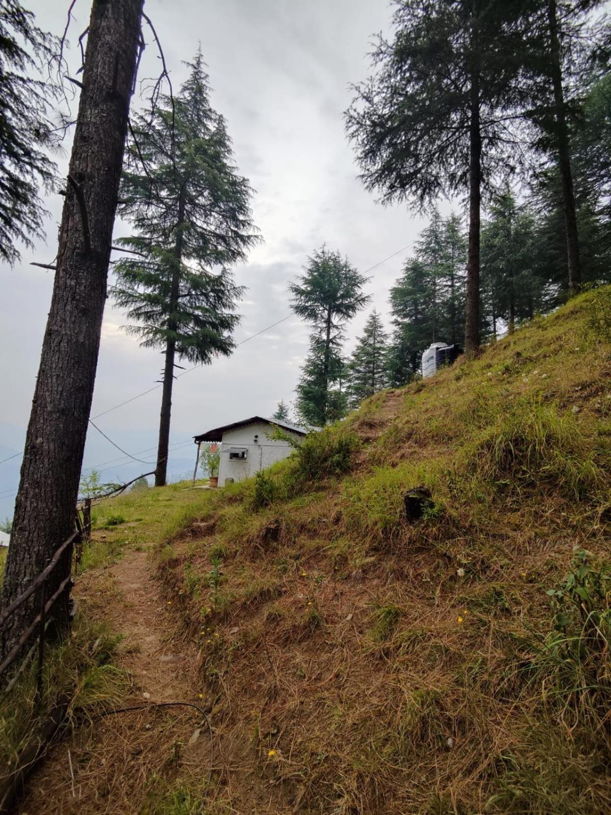 Вилла Little Himalayan Abode Алмора Экстерьер фото